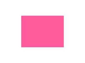 LEE-Filters, Nr. 157, Rolle 762x122cm,normal, Pink