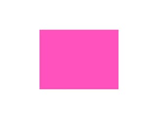 LEE-Filters, Nr. 192, Rolle 762x122cm,normal, Flesh Pink