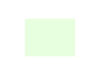 LEE-Filters, Nr. 213, Bogen 25x122cm,White Flame Green