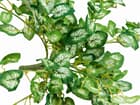 Europalms Nephthytisbusch, 50 cm - Kunstpflanze