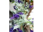 EUROPALMS Blütengirlande violett 180 cm