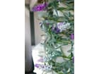 EUROPALMS Blütengirlande weiß  180 cm