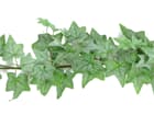 Efeugirlande dicht, grün, 180cm, Kunstpflanze