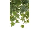 Europalms Holland-Efeuranke geprägt 45 cm - Kunstpflanze