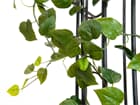 EUROPALMS Philodendrongirlande Premium, künstlich, 180cm