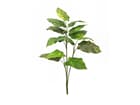 Europalms Pothos, 90cm, Kunstpflanze, 13 Blätter