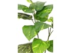 Europalms Pothos, 90cm, Kunstpflanze, 13 Blätter