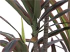Europalms Dracaena, grün-rot, 180cm - Kunstpflanze