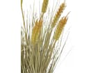 Europalms Weizen erntereif 60cm - Kunstpflanze