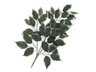 Europalms Ficuszweig 12x - Kunstpflanze