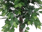 europalms Ficus-Benjamini Multi-Stamm, 150cm, Kunstpflanze mit Betonfuß