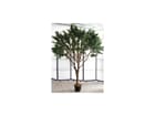Europalms Riesen-Olivenbaum mit 8960 Blättern 250cm, Kunstpflanze