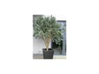 Europalms Riesen-Olivenbaum mit 8960 Blättern 250cm, Kunstpflanze