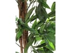 Europalms Dschungelbaum Mango 180cm, Kunstpflanze
