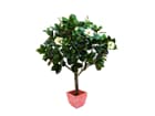 Magnolienbaum 783 Blätter / 12 Blüten 150cm, Kunstpflanze
