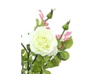 Europalms Rosenstrauch, cremefarben, 86cm - Kunstpflanze