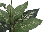 Europalms Dieffenbachia, 120cm - Kunstpflanze