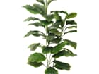Europalms Immergrün, 3 Äste, 150cm - Kunstpflanze