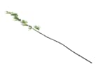 Europalms Bambusstab mit Blättern, 180cm, 6er Pack - Kunstpflanze