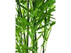 Zierbambus in Dekoschale, 120cm, Kunstpflanze