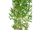 Zierbambus in Dekoschale, 150cm, Kunstpflanze