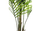 Europalms Großblatt-Areca, 165cm - Kunstpflanze