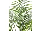 Europalms Großblatt-Areca, 185cm - Kunstpflanze