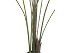 Europalms Großblatt-Areca, 185cm - Kunstpflanze