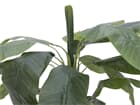 Europalms Bananenbaum, 170cm - Kunstpflanze