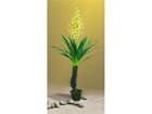Yuccapalme 40Blatt m.Blütenstaude im Topf 222cm - Gigantisch !, Kunstpflanze