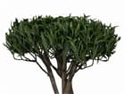 Europalms Bonsai-Palmenbaum, Multistamm, 130cm - Kunstpflanze