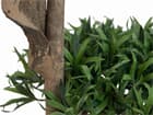EUROPALMS Bonsai-Palmenbaum, Multistamm, Kunstpflanze, 170cm