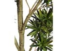 Europalms Steineibe, 150cm - Kunstpflanze