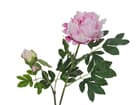 EUROPALMS Pfingstrosenzweig Premium, Kunstpflanze, pink, 100cm