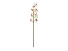 Europalms Cymbidiumzweig, weiß-pink, 90cm - Kunstpflanze