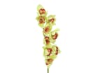 Europalms Cymbidiumzweig, grün, 90cm - Kunstpflanze