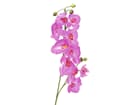 Europalms Orchideenzweig, lila, 100cm - Kunstpflanze