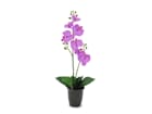 Europalms Orchidee, lila, 57cm - Kunstpflanze