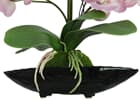 Europalms Orchideenarrangement EVA, lila - Kunstpflanze