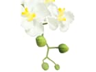 Europalms Orchideen-Arrangement 1 - 62cm, Kunstpflanze