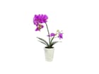 Europalms Orchideen-Arrangement 3 - Kunstpflanze