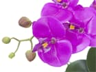 Europalms Orchideen-Arrangement 4 - Kunstpflanze