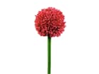 Europalms Alliumzweig, rot, 55cm - Kunstpflanze