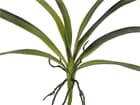 Europalms Orchideenblatt (EVA), grün, 45cm - Kunstpflanze