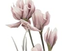 Europalms Magnolienzweig (EVA), Rosa - Kunstpflanze