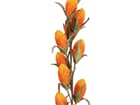 Europalms Buritizweig (EVA), orange - Kunstpflanze