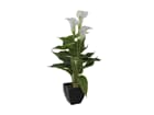 Europalms Calla mini, weiß, 43cm - Kunstpflanze