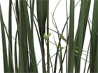 Europalms Weidenzweiggras, 183cm - Kunstpflanze