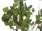 Europalms Immergrünstrauch 120cm - Kunstpflanze