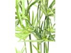 Europalms Zyperngras, 76cm - Kunstpflanze